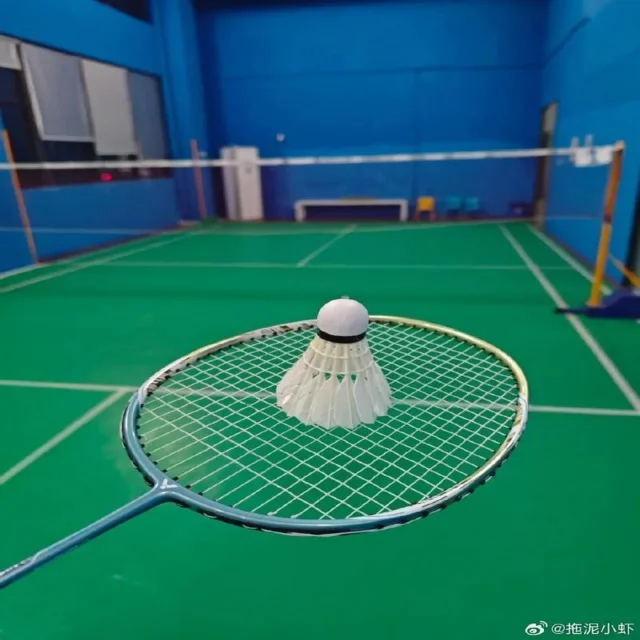 数据对比图表